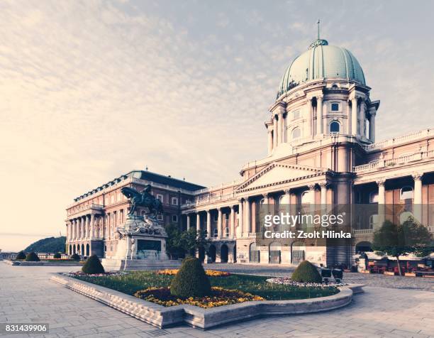budapest castle - royal palace budapest stock pictures, royalty-free photos & images