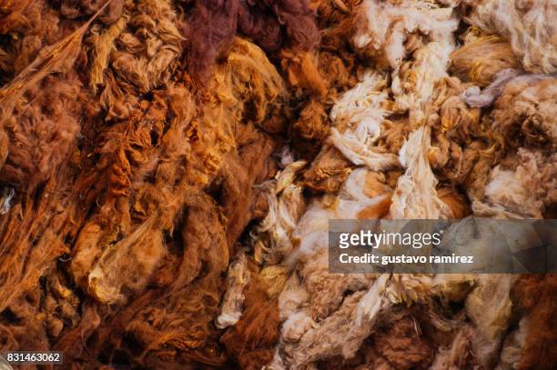 colored alpaca wool - alpaca stock pictures, royalty-free photos & images