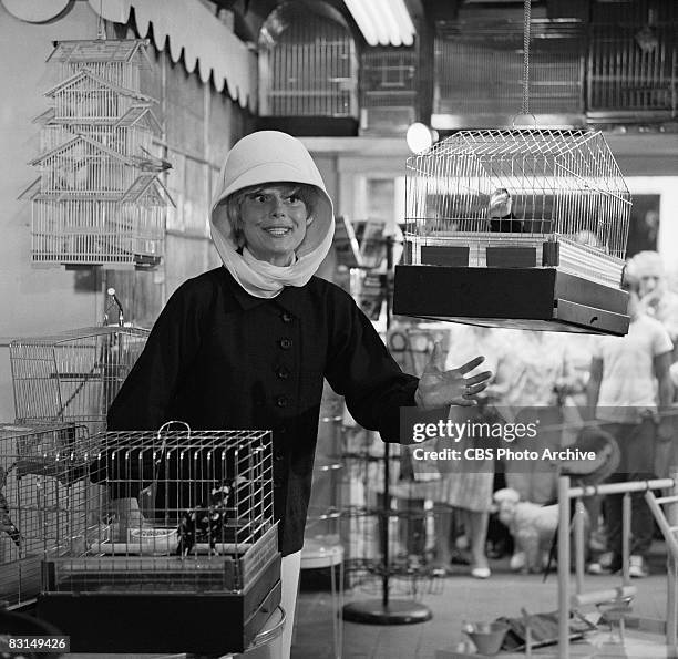 American actress and singer Carol Channing stands near birdcages in a pet store during the shooting of her Emmy-winning television special 'An...