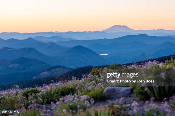 mt st helens from mt hood - saint helens imagens e fotografias de stock