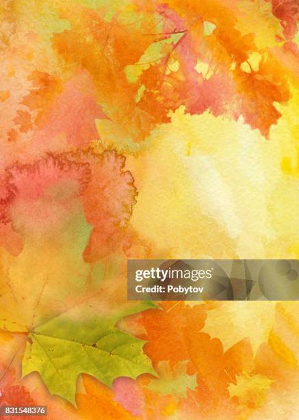 watercolor autumn background - watercolor orange flower stock illustrations