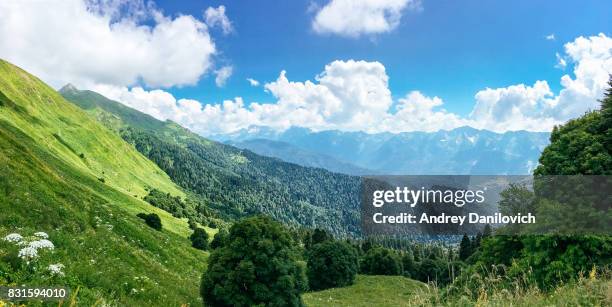 mountains in krasnaya polyana - sochi stock pictures, royalty-free photos & images