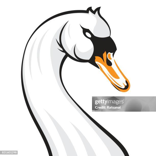 178 Swan Line Drawing Photos and Premium High Res Pictures - Getty Images 178 Swan Line Drawing Photos and Premium High Res Pictures - Getty Images