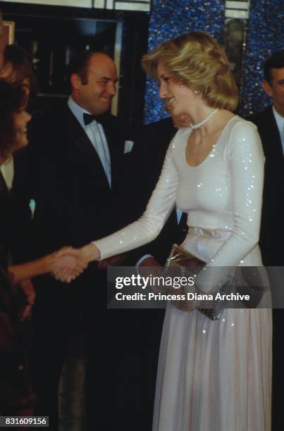 Diana, Princess of Wales attends the royal premiere of 'Starlight Express' wearing a white sequin evening gown and silver clutch bag at the Apollo...