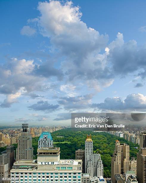 new york city skyline with central park - eric van den brulle stock pictures, royalty-free photos & images
