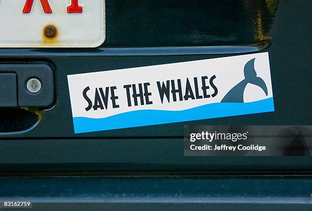 save whales bumper sticker on car - bumper sticker stock pictures, royalty-free photos & images