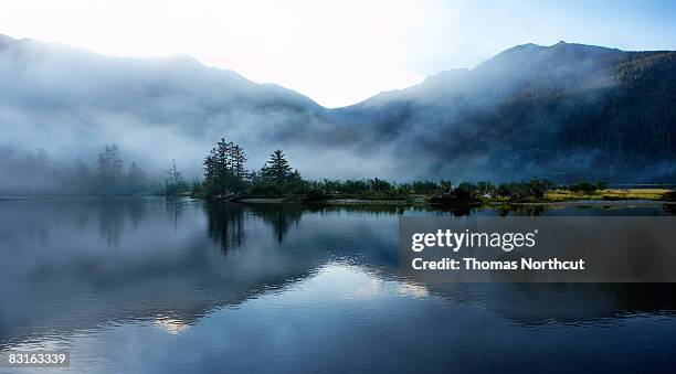 morning light and mist across sound and mountains - fog stock pictures, royalty-free photos & images