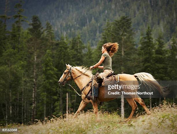donna cavalcare cavalli in campo. - cavallo equino foto e immagini stock