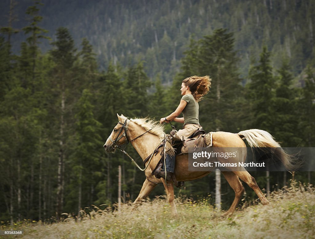 Woman riding horse through field. 