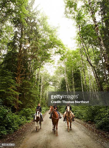 two women and a girl horseback riding on dirt road - horse riding stockfoto's en -beelden