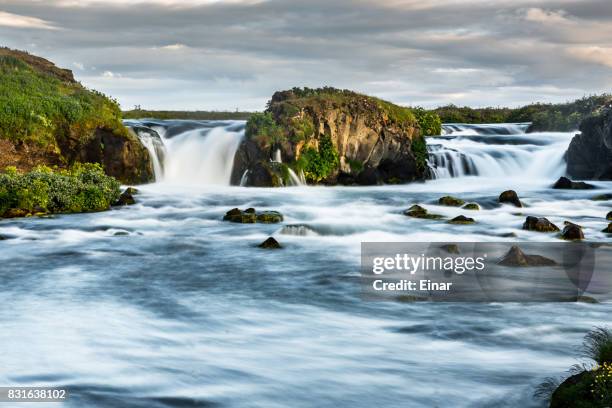 aedarfossar in laxa - laxa stock pictures, royalty-free photos & images