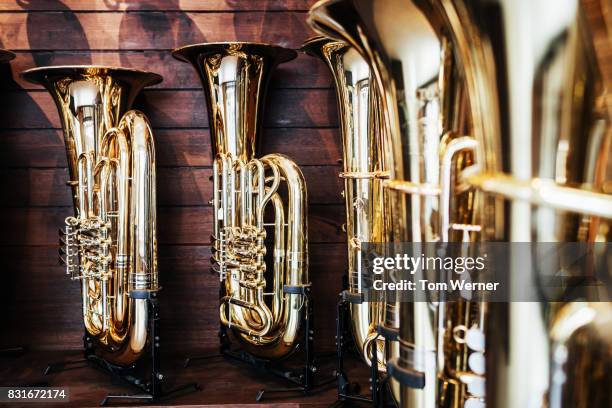 close up of finished musical instruments on display in workshop - tube foto e immagini stock