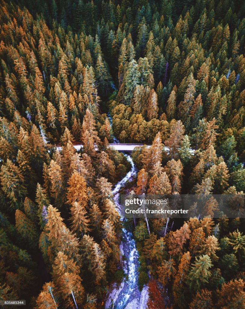 Yosemite Nationaal park bos luchtfoto vanuit helikopter