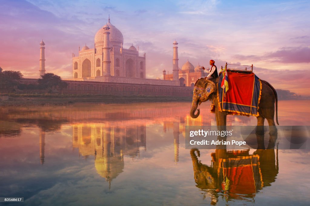 Elephant & rider at Taj Mahal