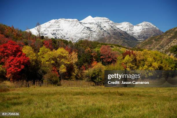snowy frosted timp - mt timpanogos stock pictures, royalty-free photos & images