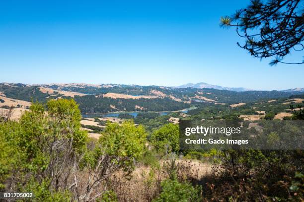 lafayette reservoir - east bay regional park stock pictures, royalty-free photos & images