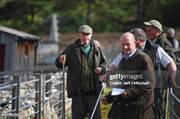 People watch as sheep farmers gather at Lairg auction for the great sale of lambs on August 15, 2017 in Lairg, Scotland. Lairg market hosts the...