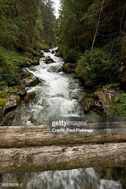 shaky bridge - shaky stock pictures, royalty-free photos & images