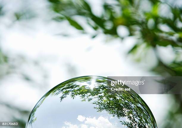the hemisphere that trees come out - boule de cristal photos et images de collection