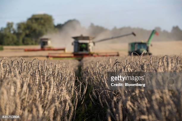 Combine harvesters operate in a wheat field in Wustermark, Germany, on Monday, Aug. 14, 2017. In Germany, problems with specific weight and Hagberg,...