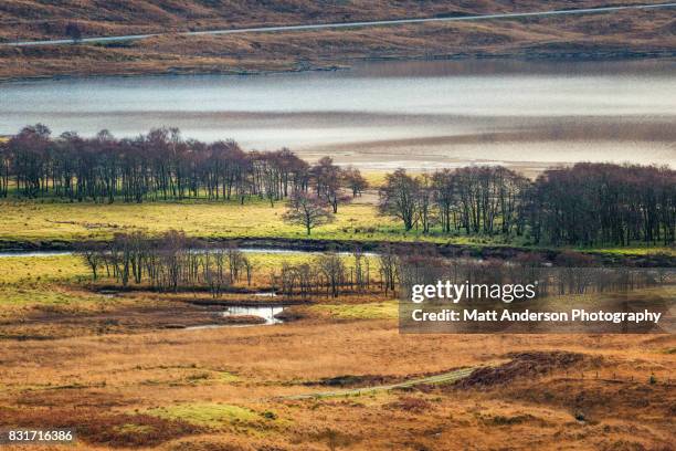 scotland landscape with loch's tree's and heather - lochan na h'achlaise stock pictures, royalty-free photos & images