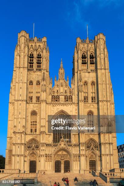 bruselas, catedral de san miguel y santa gúdula-bélgica - cathedral of st michael and st gudula fotografías e imágenes de stock