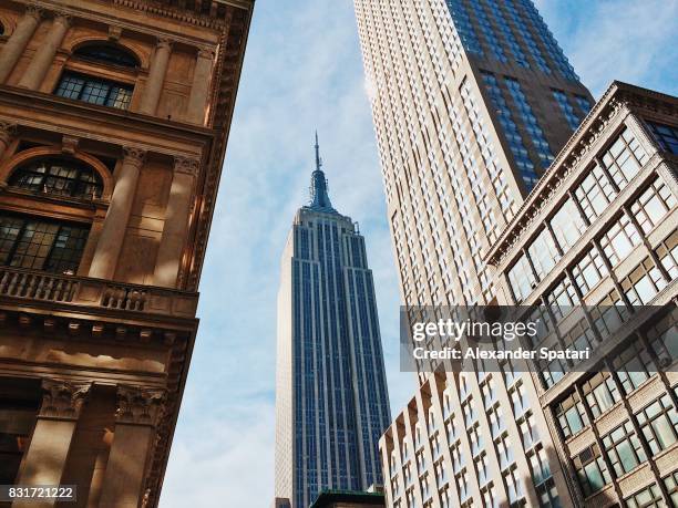 fifth avenue with empire state building in the center, manhattan, new york, ny, united states - empire state building foto e immagini stock