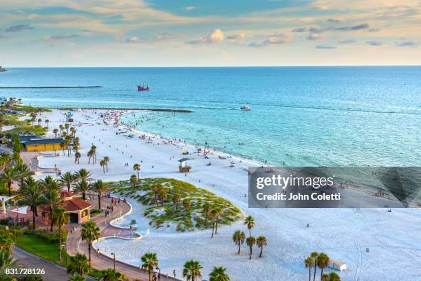 clearwater beach, florida - golf von mexiko stock-fotos und bilder