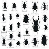 Silhouette insect set isolated on the white