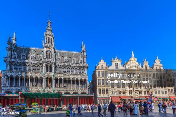 brussels grand place hotel, belgien - belgio stock-fotos und bilder