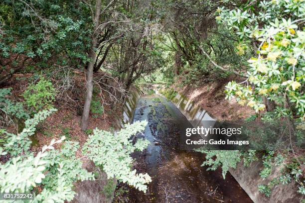 lake anza spillway - east bay regional park stock pictures, royalty-free photos & images