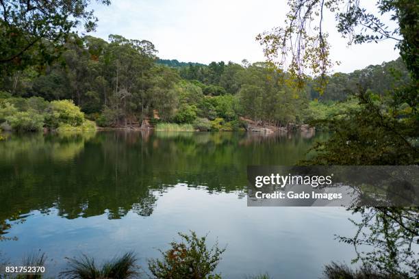 lake anza - east bay regional park stock pictures, royalty-free photos & images