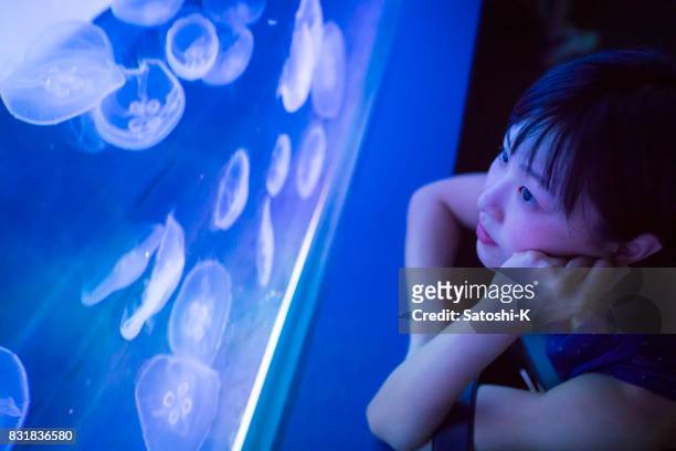 asian woman looking up at jellyfish in aquarium - people at aquarium stock pictures, royalty-free photos & images