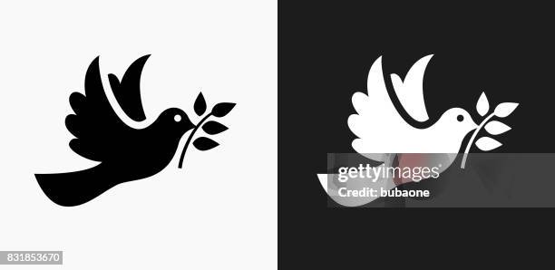 dove icon on black and white vector backgrounds - dove stock illustrations