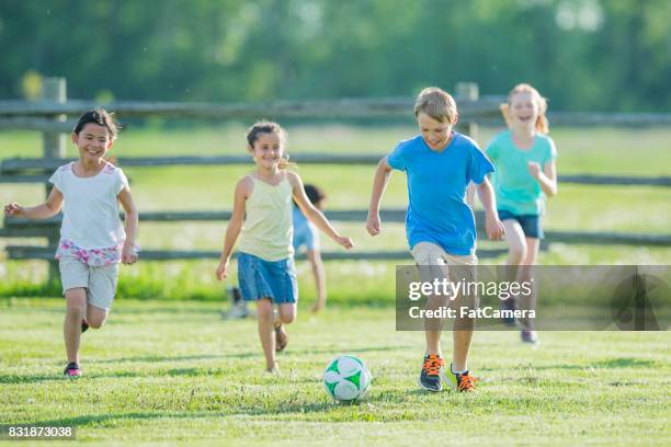 playing soccer - farm bailout stock pictures, royalty-free photos & images