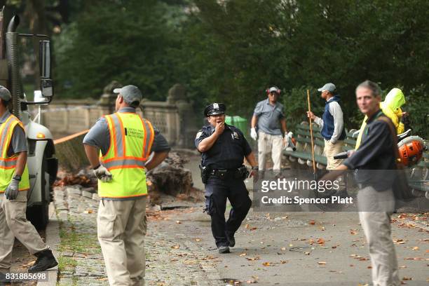 Central Park workers clean up around an area where a massive tree came down Tuesday morning injuring a mother and her three young children on August...