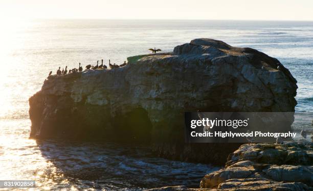 sunset landing - natural bridge state park stockfoto's en -beelden