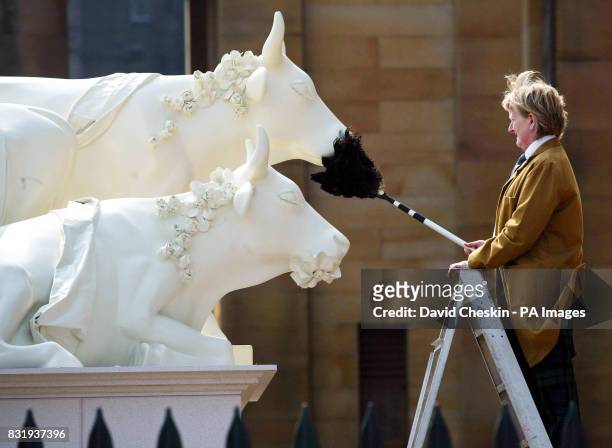 The 'Three Grazers', unveiled by The National Gallery of Scotland, is polished before joining the Cow Parade in Edinburgh`s Royal Mile. The Parade is...