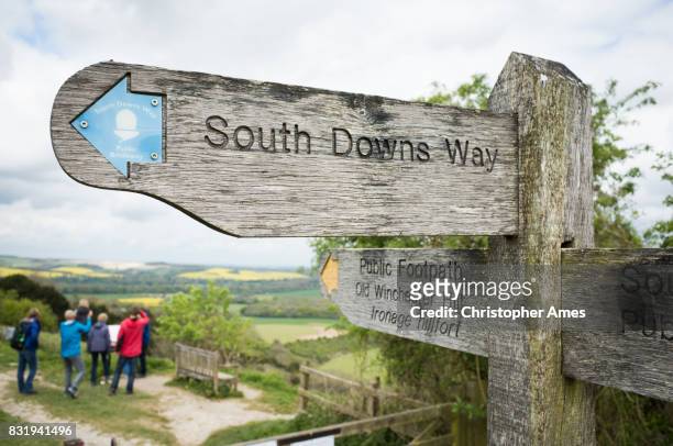 south downs way public footpath - south downs imagens e fotografias de stock