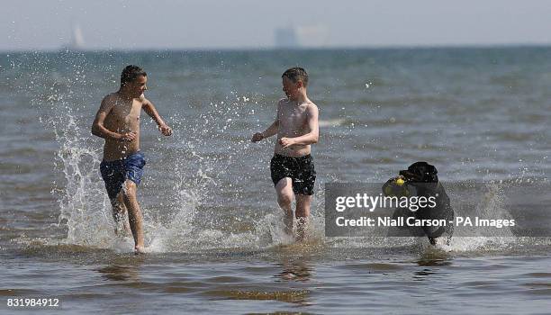 Two boys and their dog enjoy Dublin city's only Blue flag beach, Dollymount Strand - as Ireland's beaches have received their largest ever number of...