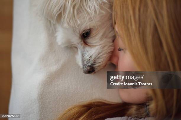 dog and woman sleeping together - compassionate eye stock pictures, royalty-free photos & images