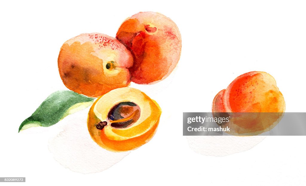 Aquarell apricot