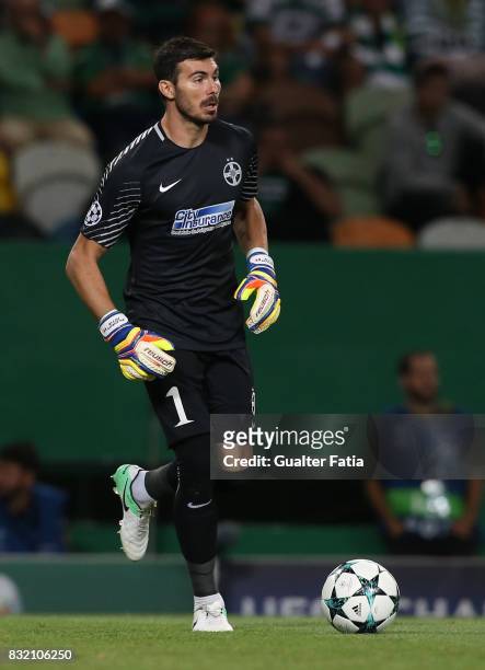 Steaua Bucuresti FC goalkeeper Florin Nita from Romania in action during the UEFA Champions League Qualifying Play-Offs Round - First Leg match...