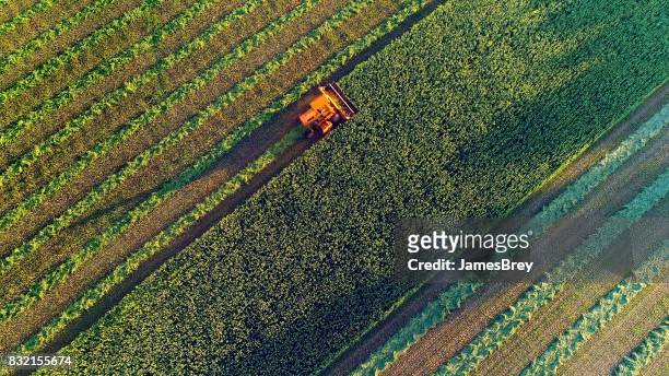 agricultural harvesting at the last light of day, aerial view. - adubo equipamento agrícola imagens e fotografias de stock