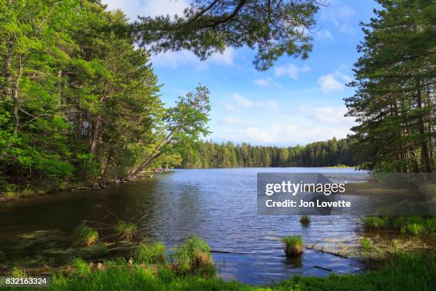 moosehead lake near  greenville maine - moosehead lake stock-fotos und bilder