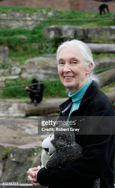 Dr Jane Goodall poses for a photo at Taronga Zoo on October 11, 2008 in Sydney, Australia. Goodall, the world renowned primatologist, has...