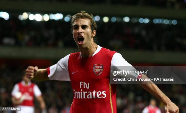 Arsenal's Mathieu Flamini celebrates his late winner, which confirms their progess into the latter stages of the Champions League during the...