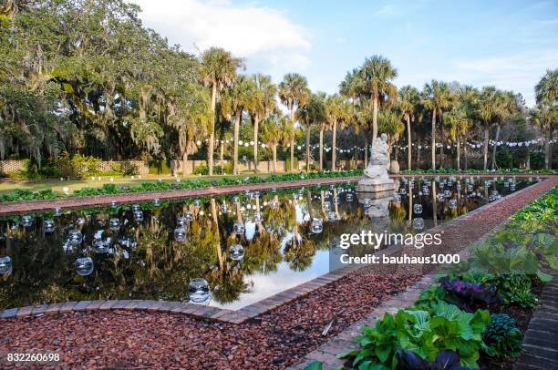 chirstmas lights et la lueur de bougies dans le jardin - brookgreen gardens photos et images de collection