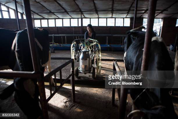 Workers prepare a milking machine in a shed at a dairy farm in the Baruun Turuu area of Ulaanbaatar, Mongolia, on Sunday, Aug. 13, 2017. The...