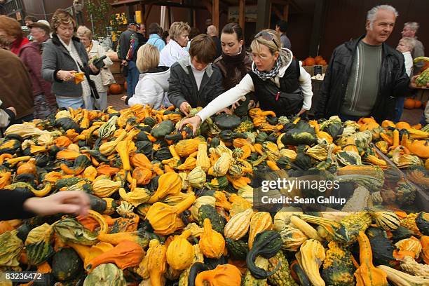 Visitors choose among squash at the Spargelhof Klaistow farm on October 12, 2008 in Klaistow, Germany. Spargelhof Klaistow, which has a family fun...